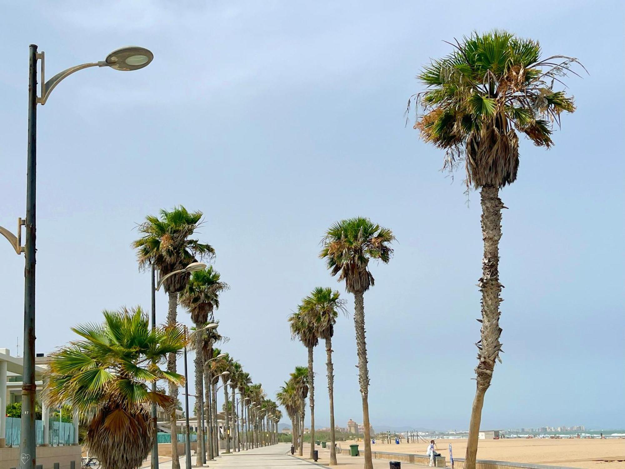 Stylish Well-Connected Beachfront Flat Valencia Bagian luar foto